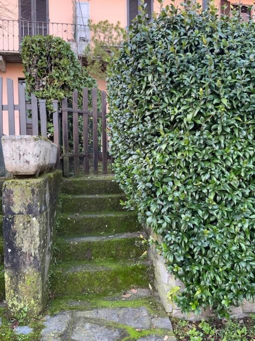Villa Giardino Con Pontile Sul Lago D'Orta In Riva Орта Сан Джулио Екстериор снимка